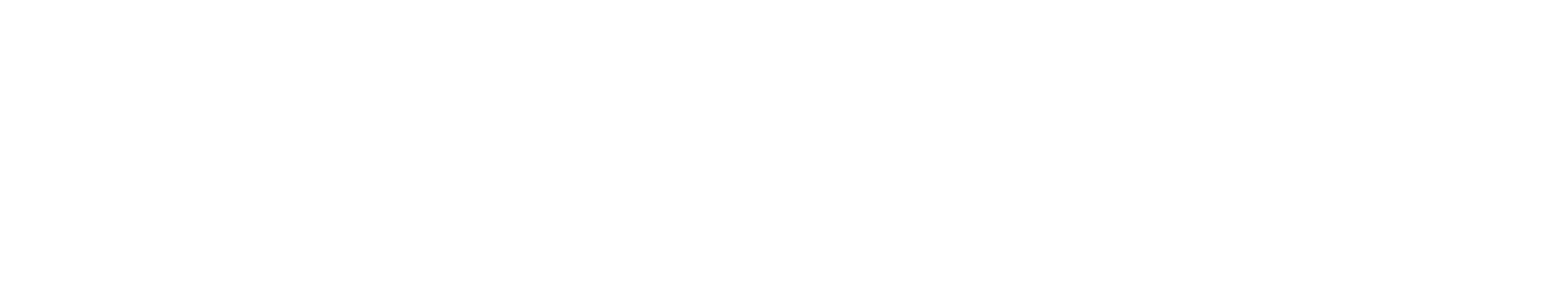 Prismapay